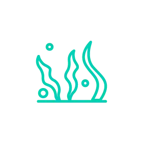 Vizcab : icone mer