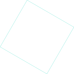 carrée Vizcab : carrée