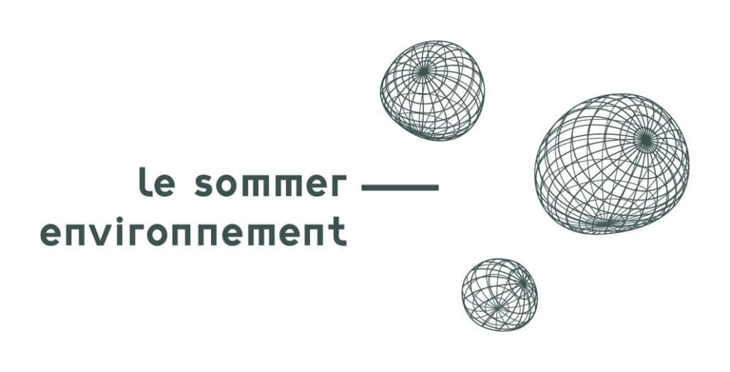 Vizcab : le sommer environnement
