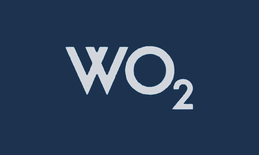 Vizcab : logo WO²