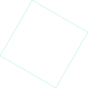 Vizcab : carrée
